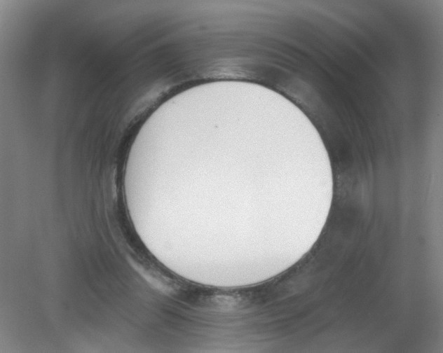 X0000079310302200612011823