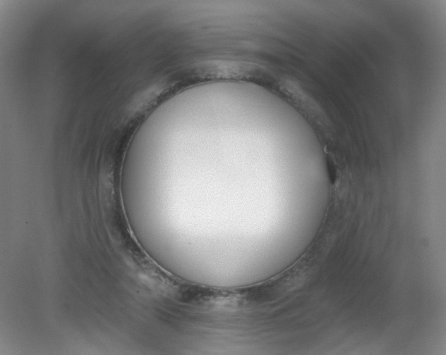 X0000079310306200612011823