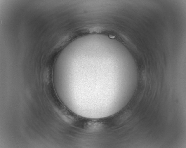 X0000079310311200612011823