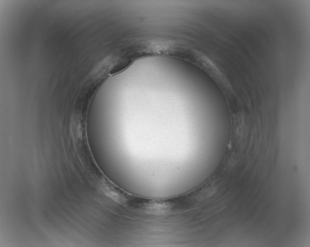 X0000079310313200612011823