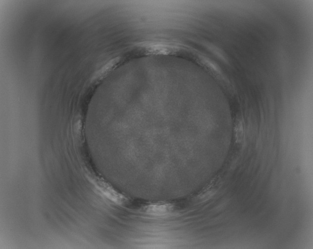 X0000079310314200612011823