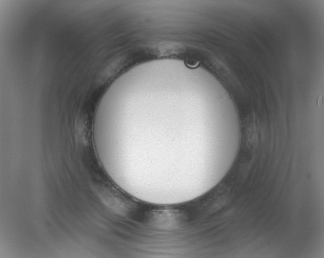 X0000079310316200612011823