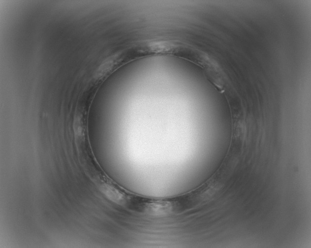 X0000079310317200612011823