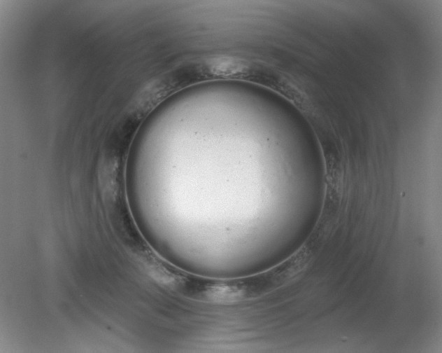 X0000079310319200612011823