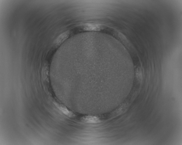 X0000079310322200612011823