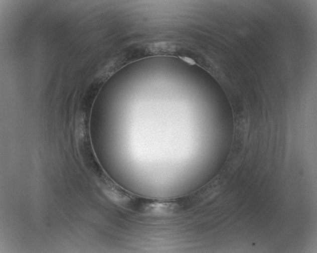 X0000079310323200612011823