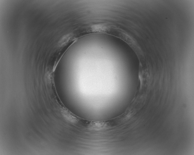 X0000079310329200612011823