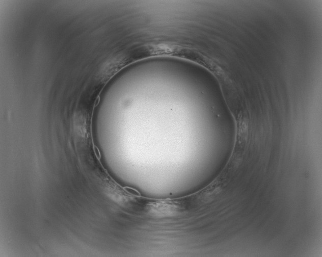 X0000079310331200612011823