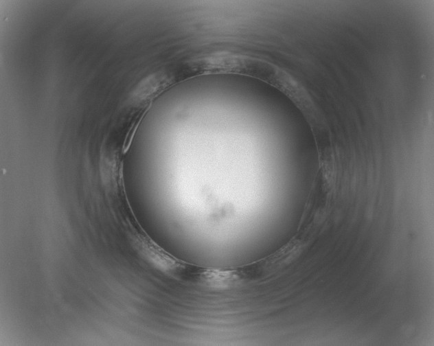X0000079310333200612011823