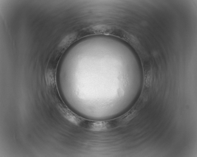 X0000079310335200612011823