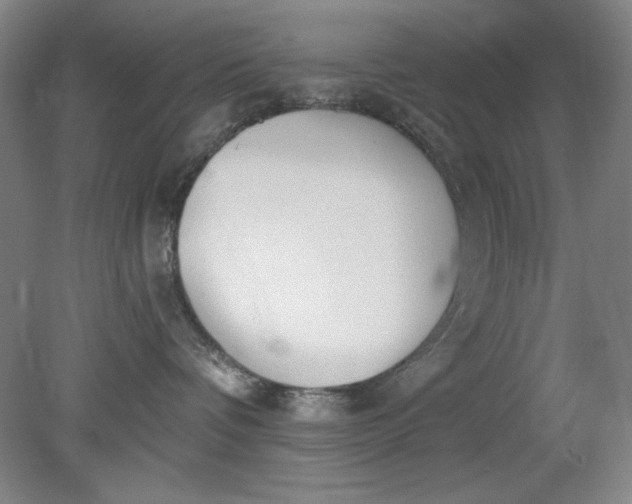 X0000079310336200612011823