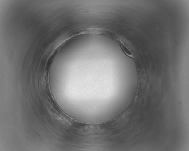 X0000079310338200612011822