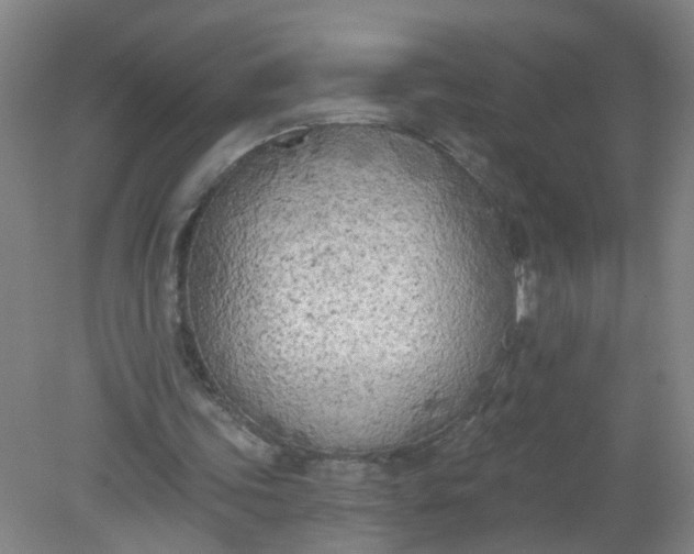 X0000079310339200612011822
