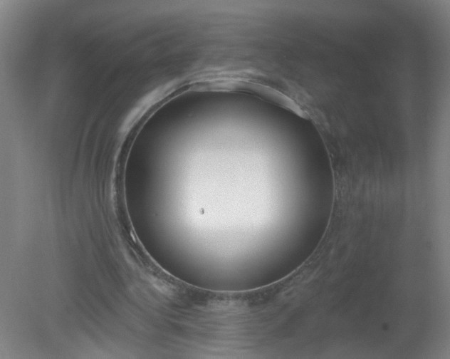 X0000079310340200612011822