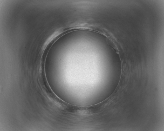 X0000079310344200612011822