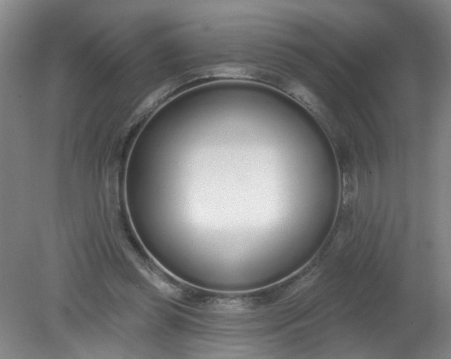 X0000079310349200612011822