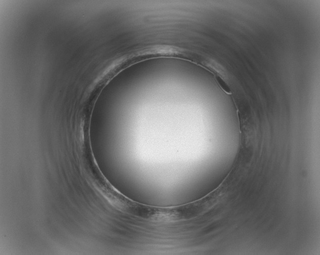 X0000079310350200612011822
