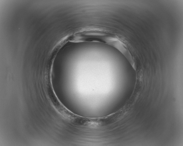 X0000079310352200612011822