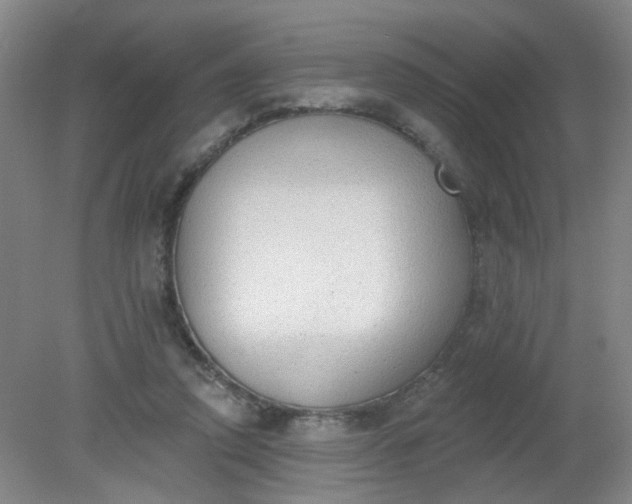 X0000079310354200612011822