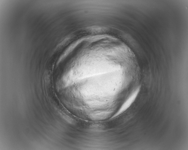 X0000079310357200612011822
