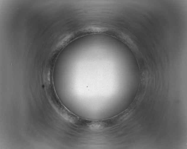 X0000079310358200612011822