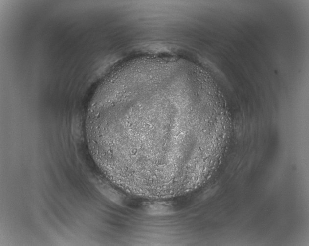 X0000079310359200612011822