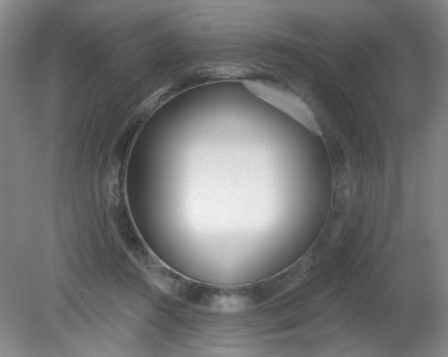 X0000079310360200612011822
