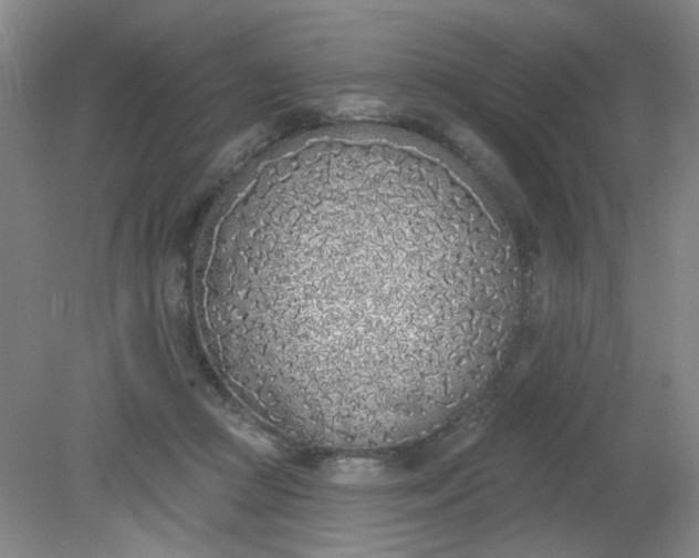 X0000079310361200612011822