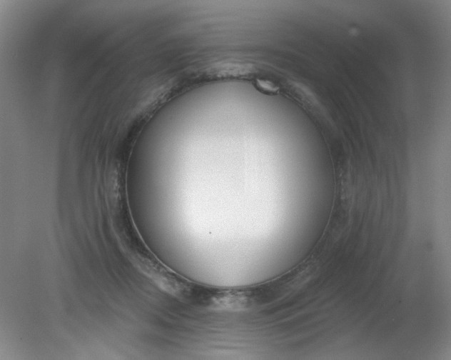 X0000079310362200612011822