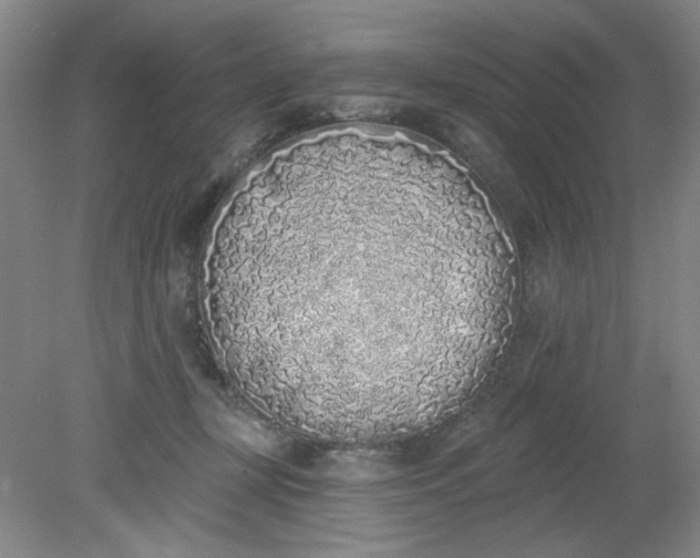X0000079310367200612011822