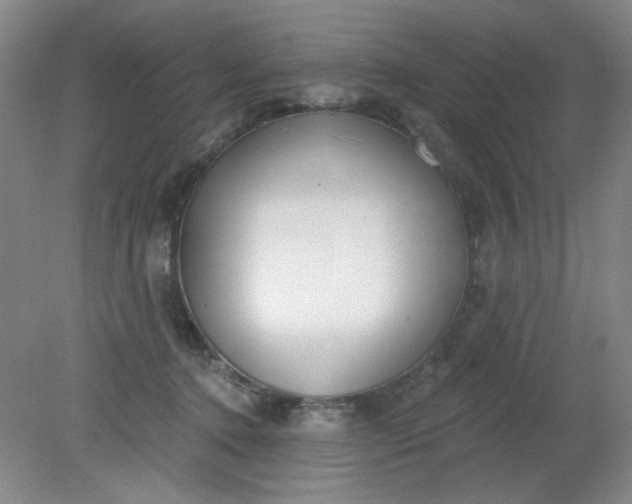 X0000079310368200612011822