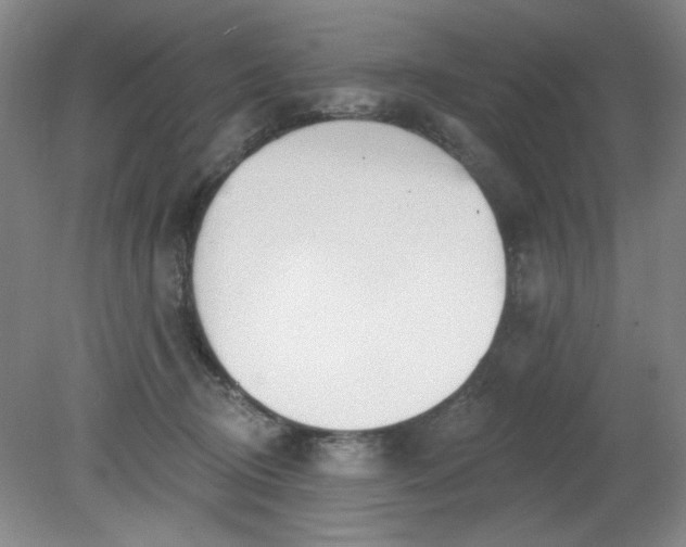 X0000079310370200612011822