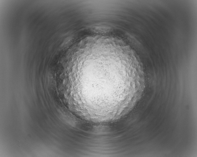 X0000079310371200612011822