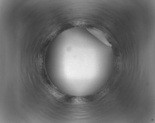 X0000079310372200612011822