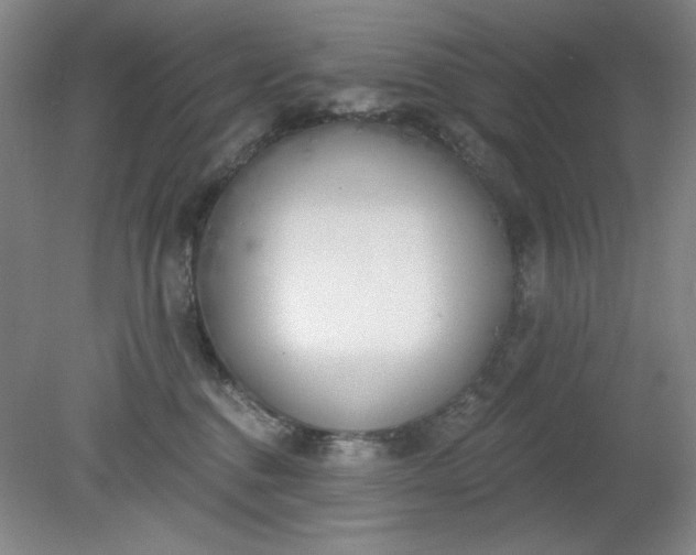 X0000079310376200612011822