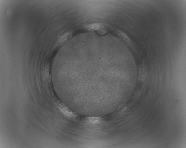 X0000079310377200612011822