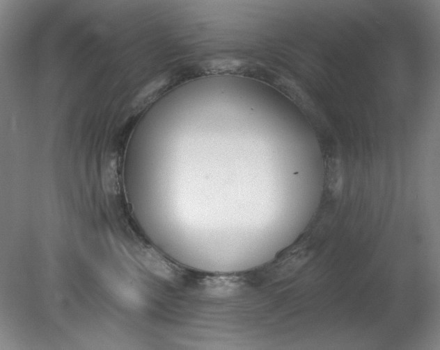 X0000079310378200612011822