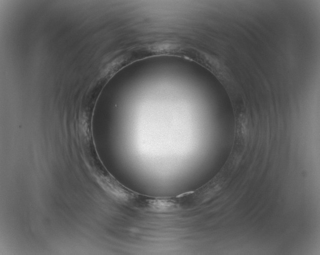 X0000079310380200612011822