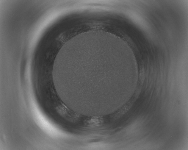 X0000079310383200612011823