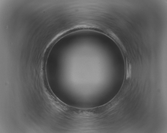 X0000079310387200612011822