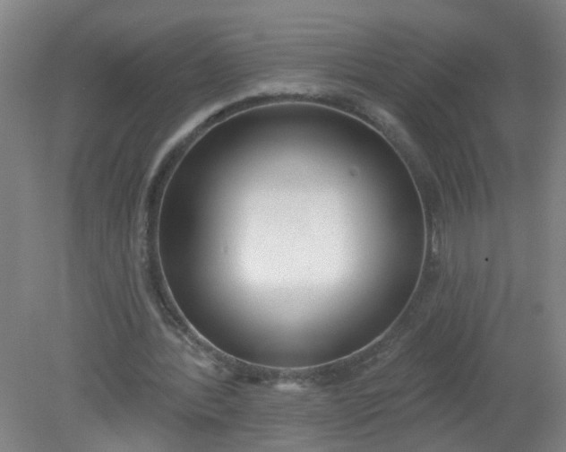X0000079310388200612011822