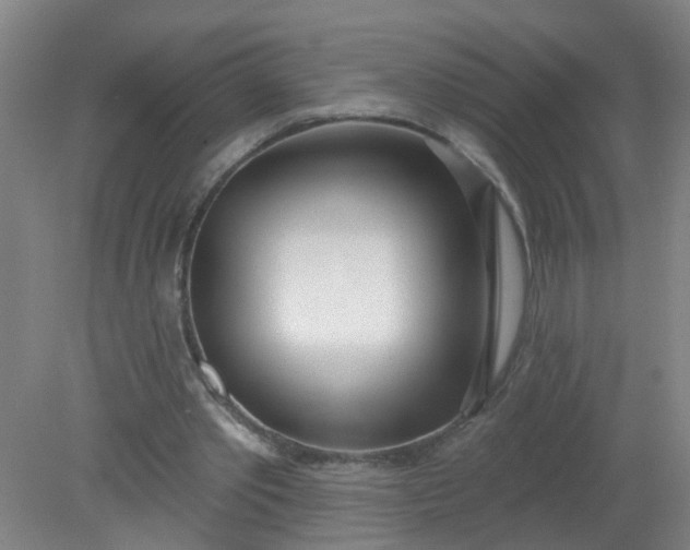 X0000079310389200612011822