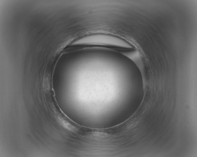 X0000079310393200612011822