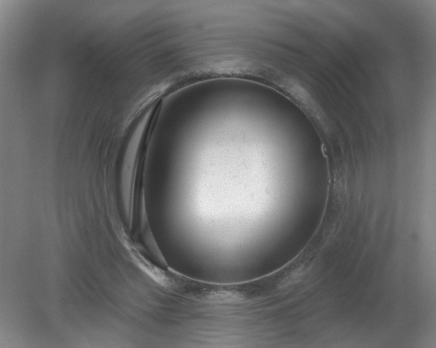 X0000079310397200612011822