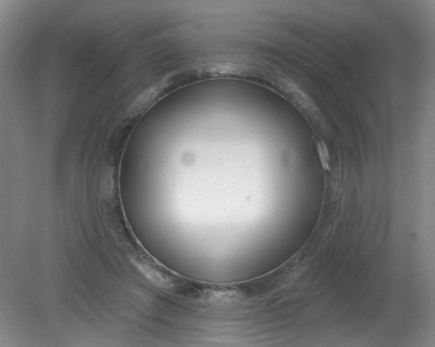 X0000079310401200612011821