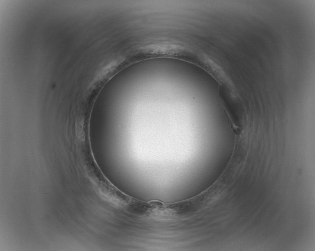 X0000079310403200612011821