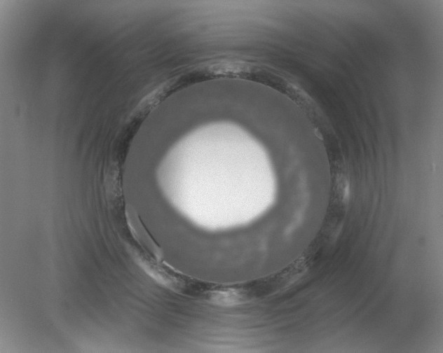 X0000079310411200612011821