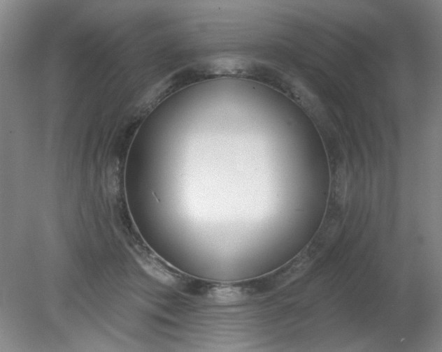X0000079310413200612011821