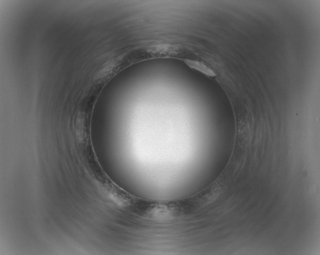 X0000079310416200612011821