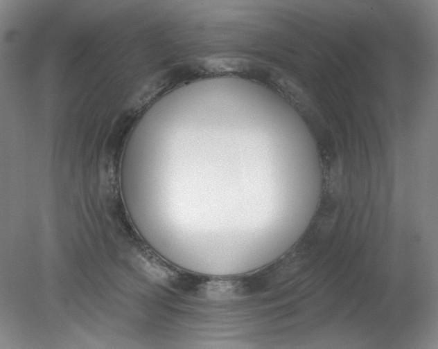 X0000079310418200612011821